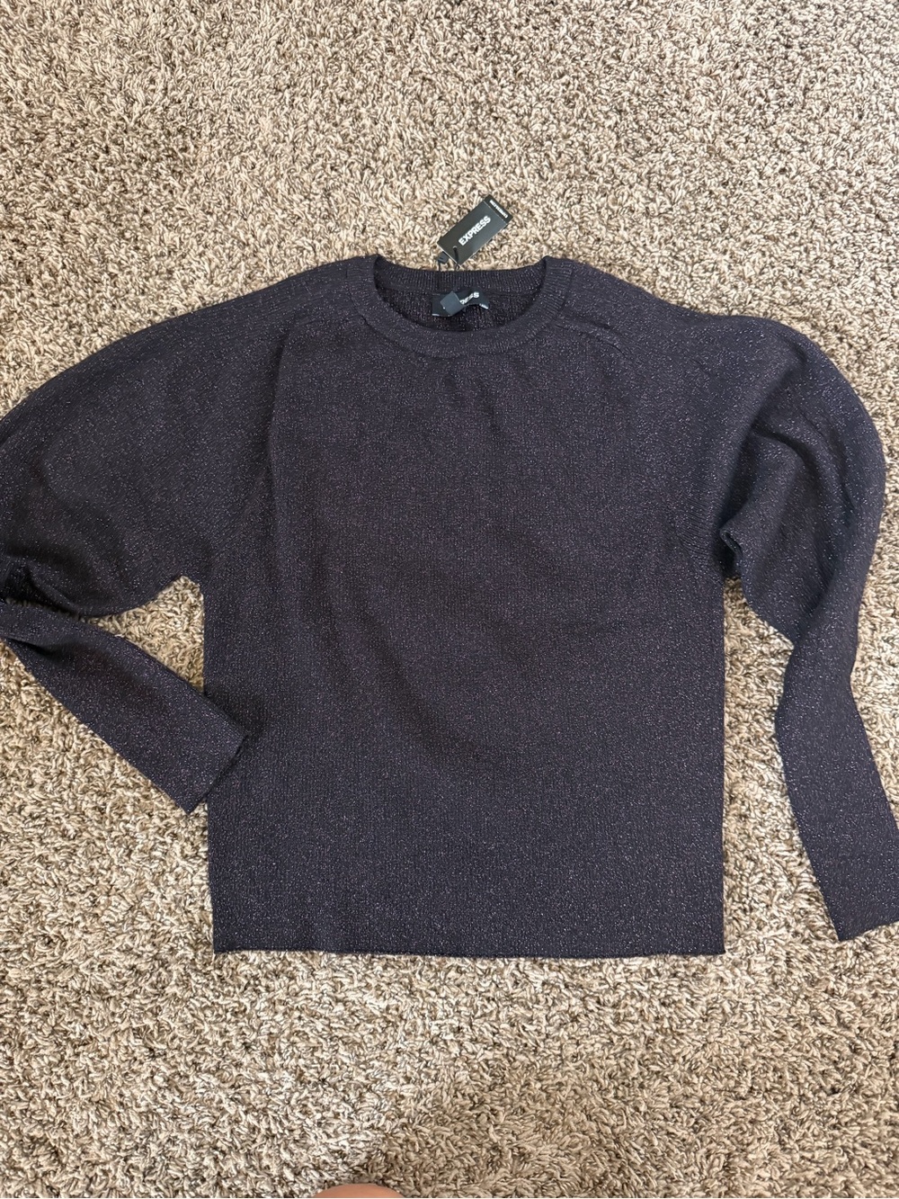 Express Women’s Dark Black Crewneck Sweater with Subtle Sheen